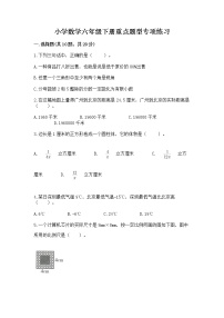 小学数学六年级下册重点题型专项练习附答案