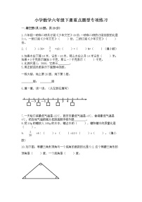 小学数学六年级下册重点题型专项练习附参考答案