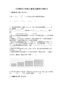 小学数学六年级下册重点题型专项练习附参考答案