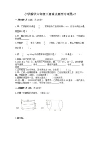 小学数学六年级下册重点题型专项练习附参考答案【综合题】