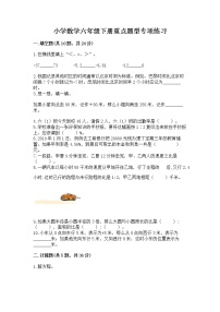 小学数学六年级下册重点题型专项练习附参考答案【B卷】