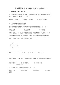 小学数学六年级下册重点题型专项练习附参考答案