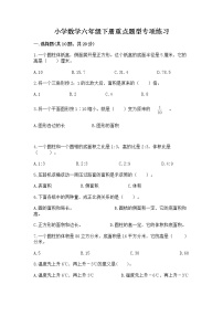 小学数学六年级下册重点题型专项练习附参考答案