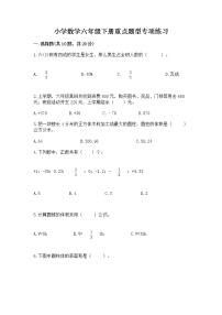 小学数学六年级下册重点题型专项练习附答案