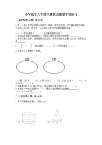 小学数学六年级下册重点题型专项练习附参考答案