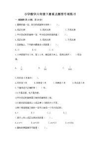 小学数学六年级下册重点题型专项练习附参考答案