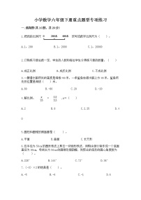 小学数学六年级下册重点题型专项练习附参考答案