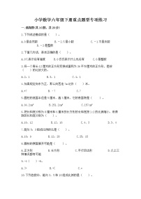 小学数学六年级下册重点题型专项练习附答案（模拟题）