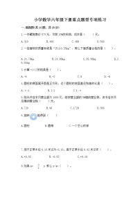 小学数学六年级下册重点题型专项练习附答案（A卷）