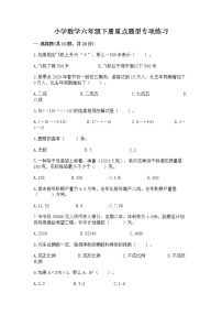 小学数学六年级下册重点题型专项练习附答案