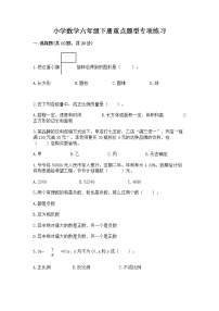 小学数学六年级下册重点题型专项练习附答案（完整版）