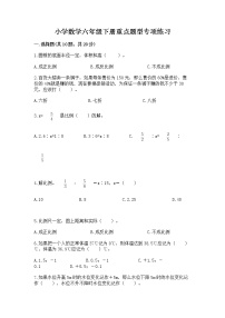 小学数学六年级下册重点题型专项练习附参考答案（精练）