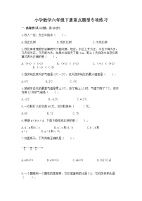 小学数学六年级下册重点题型专项练习含答案