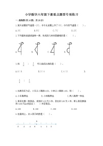 小学数学六年级下册重点题型专项练习含答案