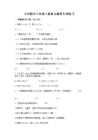 小学数学六年级下册重点题型专项练习附完整答案