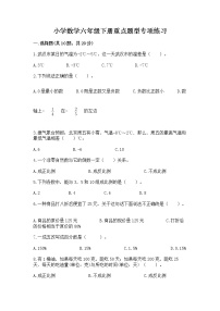 小学数学六年级下册重点题型专项练习含答案