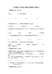 小学数学六年级下册重点题型专项练习附完整答案