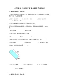 小学数学六年级下册重点题型专项练习附完整答案