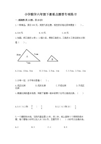 小学数学六年级下册重点题型专项练习附答案【综合题】