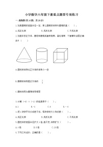 小学数学六年级下册重点题型专项练习含答案（模拟题）