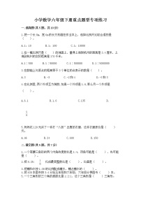 小学数学六年级下册重点题型专项练习附完整答案