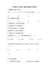 小学数学六年级下册重点题型专项练习含答案