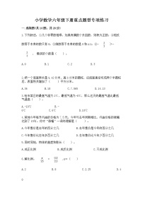 小学数学六年级下册重点题型专项练习含答案（巩固）