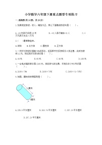 小学数学六年级下册重点题型专项练习含答案【综合卷】