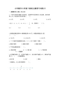 小学数学六年级下册重点题型专项练习含答案