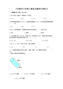 小学数学六年级下册重点题型专项练习含答案（能力提升）