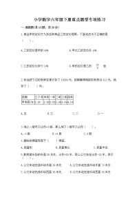 小学数学六年级下册重点题型专项练习及答案（精品）