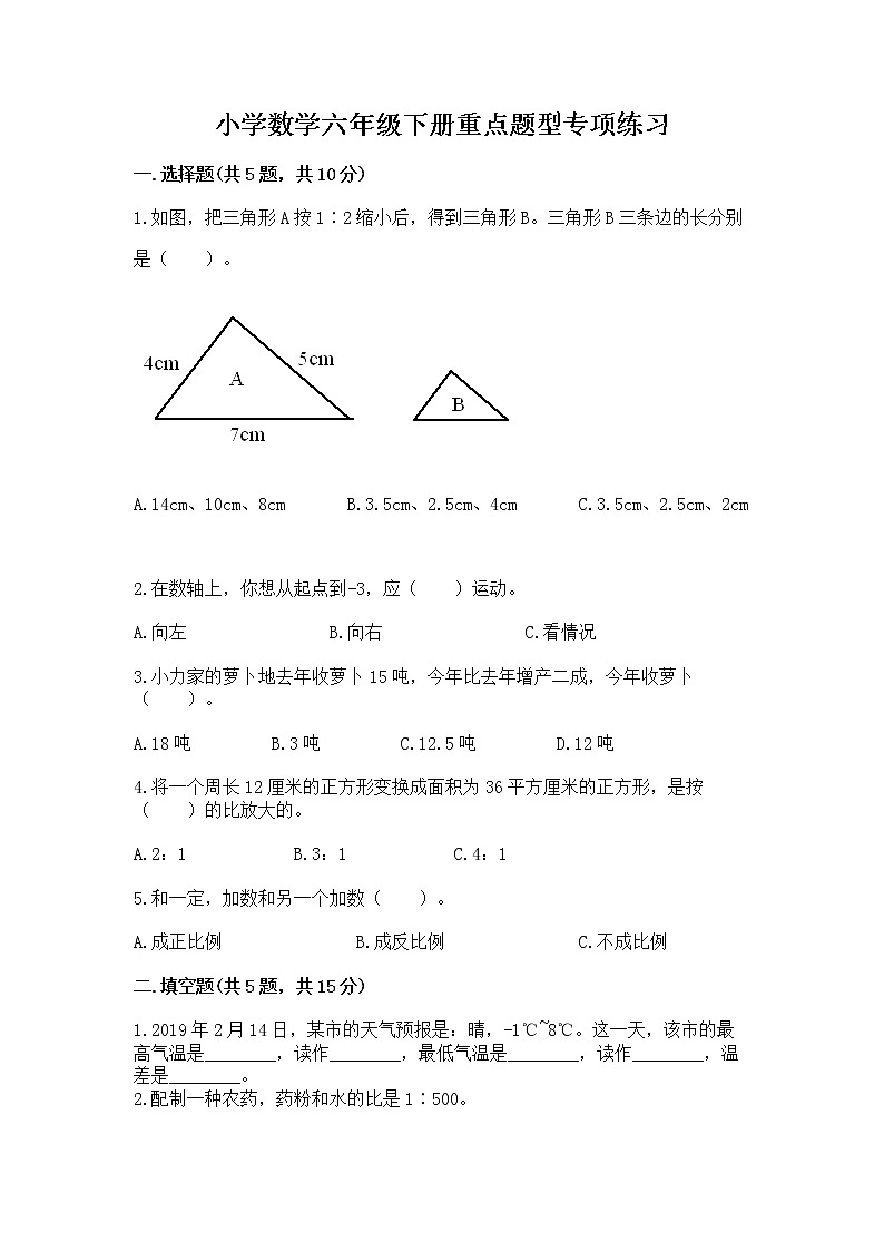 小学数学六年级下册重点题型专项练习含完整答案第1页