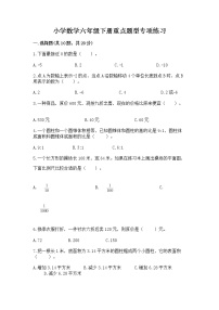 小学数学六年级下册重点题型专项练习及参考答案（实用）