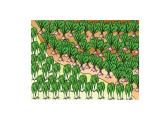 苏教版数学三下课件34.长方形和正方形的面积计算 (共16张PPT)