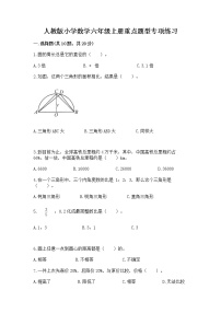 人教版小学数学六年级上册重点题型专项练习附答案