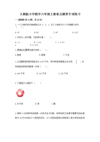 人教版小学数学六年级上册重点题型专项练习精品【典优】