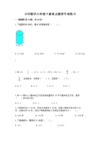 小学数学六年级下册重点题型专项练习（名校卷）