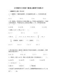 小学数学六年级下册重点题型专项练习【名校卷】