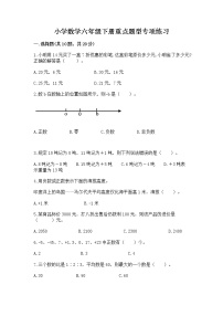 小学数学六年级下册重点题型专项练习（模拟题）