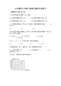 小学数学六年级下册重点题型专项练习【研优卷】