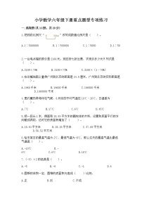 小学数学六年级下册重点题型专项练习答案