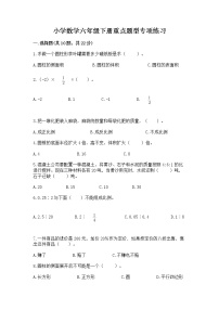 小学数学六年级下册重点题型专项练习【名师系列】