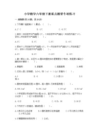 小学数学六年级下册重点题型专项练习带答案【综合题】