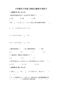 小学数学六年级下册重点题型专项练习带完整答案【夺冠】