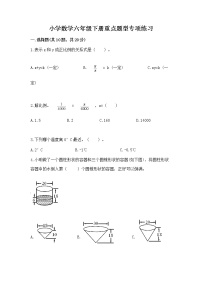 小学数学六年级下册重点题型专项练习带答案（培优A卷）