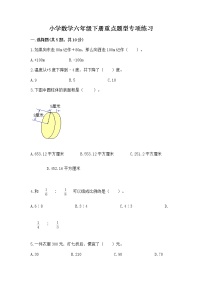 小学数学六年级下册重点题型专项练习带完整答案