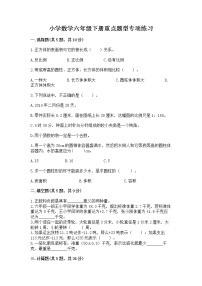 小学数学六年级下册重点题型专项练习带完整答案【典优】