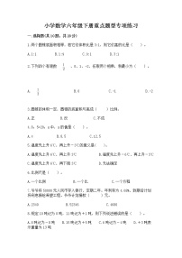 小学数学六年级下册重点题型专项练习带答案（新）