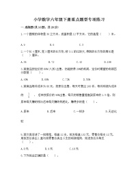 小学数学六年级下册重点题型专项练习带答案【达标题】