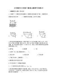 小学数学六年级下册重点题型专项练习附答案AB卷